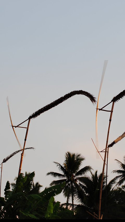 Tradisi Masyarakat Sunda saat Musim Kemarau, Pasang Kincir Angin dari Bambu