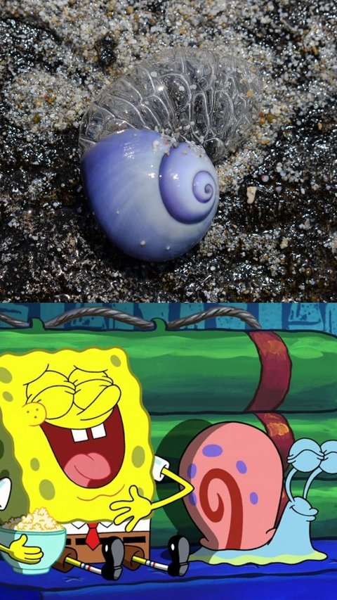 8 Surprising Facts About Sea Snails That Inspired Gary's Idea for Spongebob
