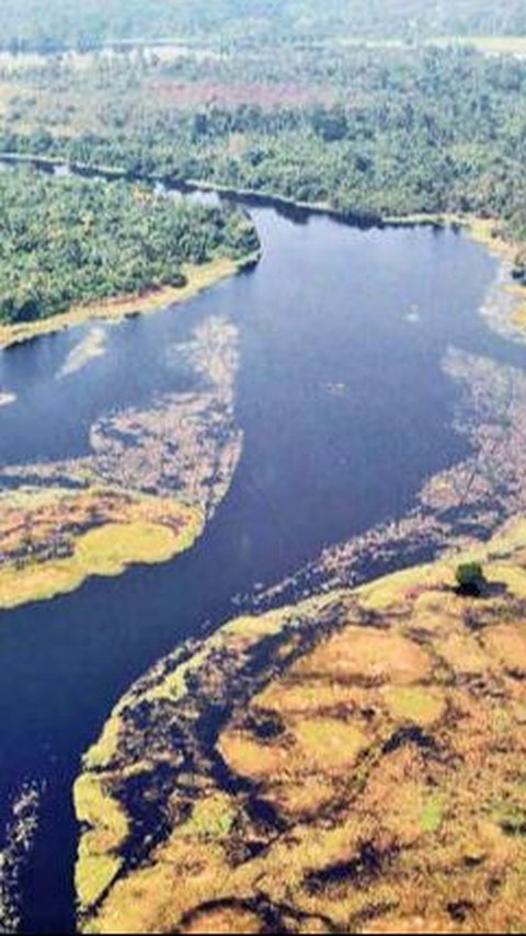 Potret Sungai Paling Gelap di Dunia, Airnya Hitam Pekat