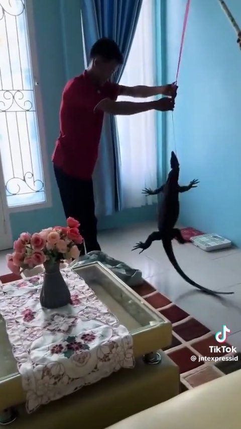 Serba Bisa, Aksi Kurir Paket Bantu Tangkap Biawak Masuk Rumah Ini Viral