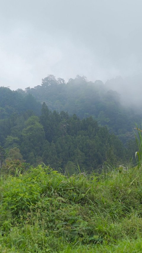 Usianya Disebut Jauh Lebih Tua dari Gunung Merapi, Ini Fakta Unik Bukit Turgo-Plawangan