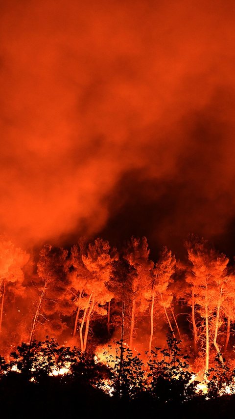 Ingin Lepaskan Kail Pancing yang Tersangkut Ranting, Pria Klaten Ini Nyalakan Api hingga Sebabkan 5 Hektare Hutan Terbakar