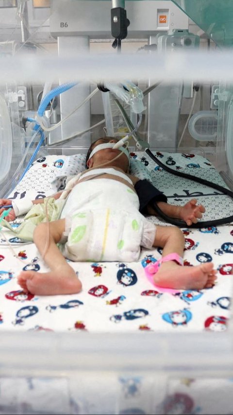 FOTO: Bayi-Bayi Prematur di Gaza yang Terancam Nyawanya karena Listrik Masih Diblokade Israel