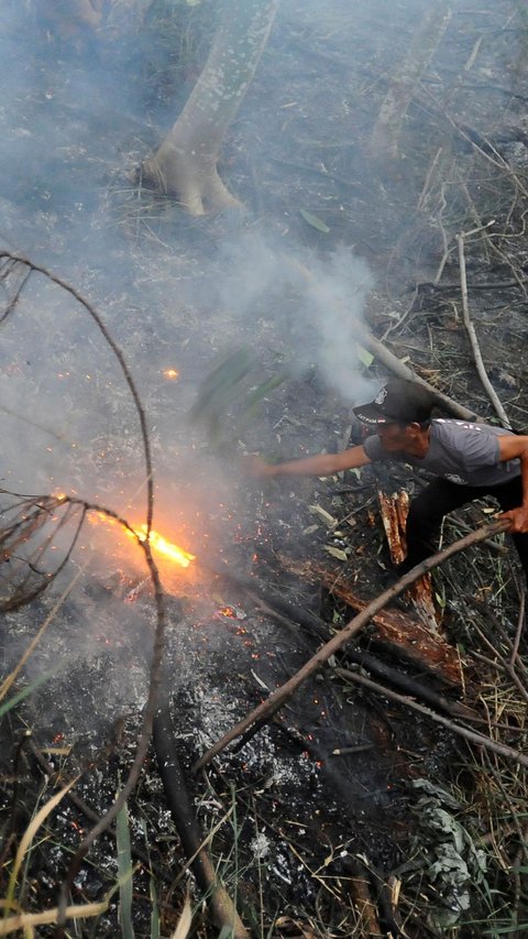 PLN Indonesia Power Kerahkan Personel Atasi Kebakaran Hutan, Ini Sebaran Lokasinya