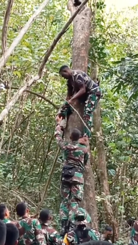 Operasi di Tengah Hutan Belantara, Puluhan Prajurit TNI Kalang Kabut Gara-Gara Satu Makhluk Kecil