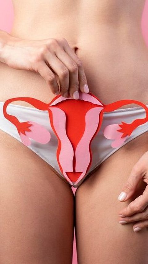 Berkenalan Dengan Prolaps Uteri yang Kerap Dialami Wanita: Gejala, Faktor Risiko, dan Cara Mencegahnya