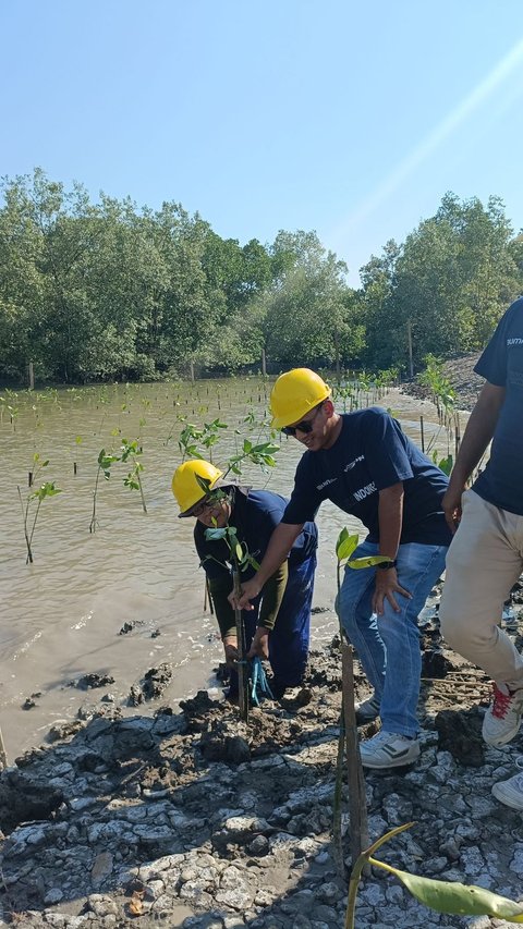 PNM Gandeng PT Waskita Beton Precast Tanam Mangrove dan Beri Akses Air Bersih