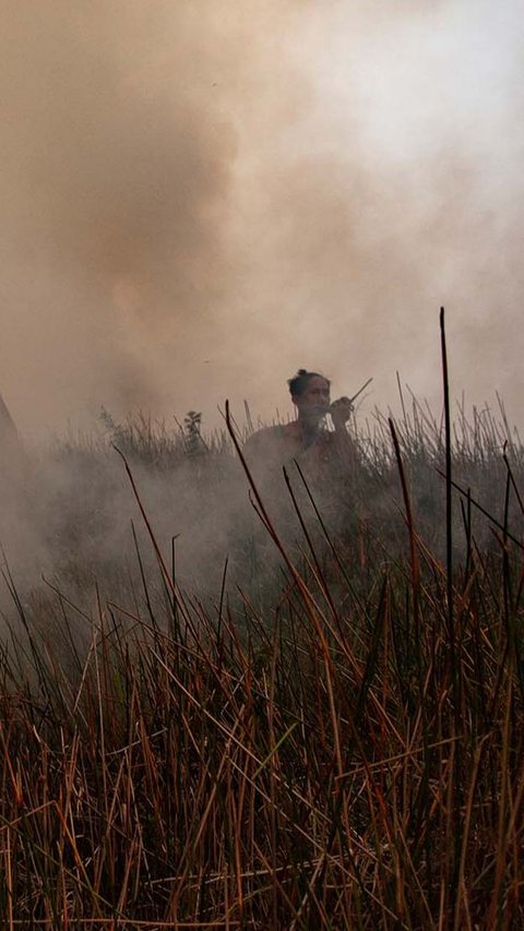 Lereng Gunung Abang Bali Terbakar, Petugas Kesulitan Dekati Lokasi