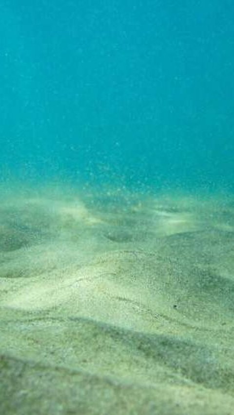 Hilang 155 Juta Tahun Lalu, Benua Seluas AS Akhirnya Ditemukan di Dasar Laut