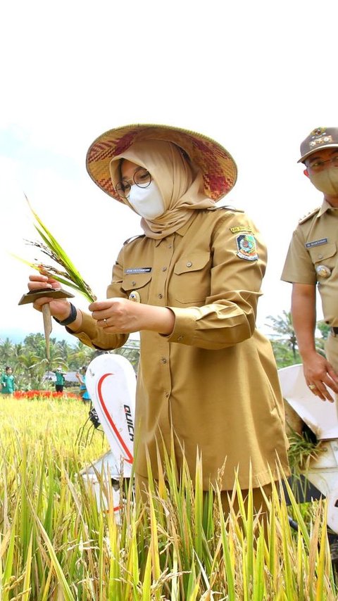 Meski Stok Beras Aman, Bupati Ipuk Minta Lakukan Langkah Antisipasi Dampak El Nino