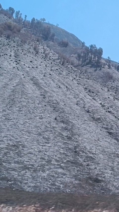 Berkas Kasus Kebakaran Bukit Teletubbies Bromo Dilimpahkan ke Kejaksaan