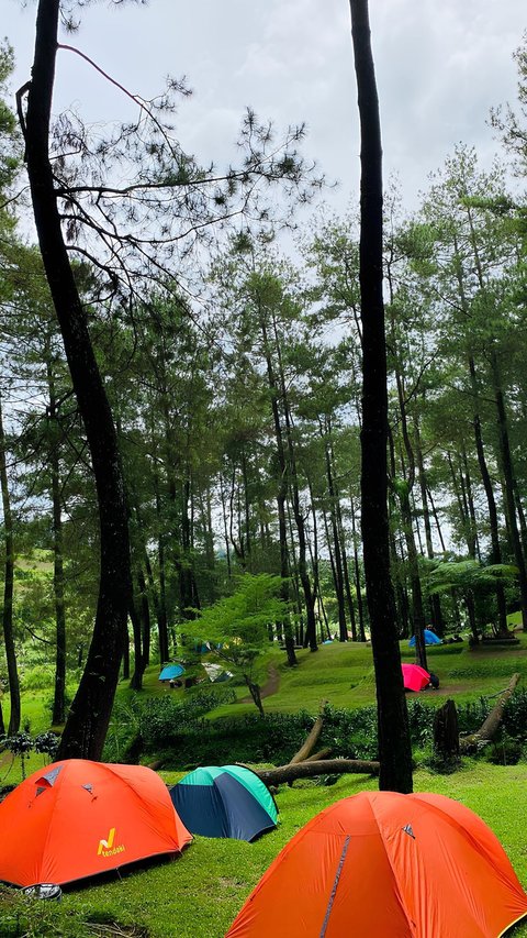 Tempat Camping di Cianjur Ini Bikin Betah, Sinyal HP Kuat dan Suguhkan Kombinasi Rumput Hijau dengan Sunrise Cantik
