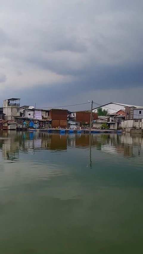 Cerita Kampung yang Mulai Tenggelam di Jakarta Barat, Dulunya Asri dan Jadi Tempat Bermain Anak