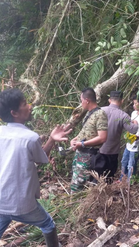 Malang Nasib Empat Warga di Garut, Tertimpa Pohon saat Berteduh hingga Terseret ke Bawah Tebing