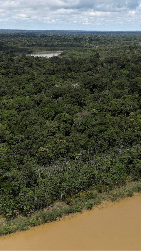 10.000 Situs Arkeologi Masih Tersembunyi di Hutan Amazon, Ada Benteng Sampai Desa Kuno