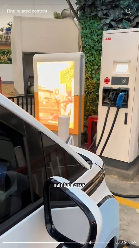 Electric Car Owner Envious of Fuel Queue: Paying for Battery Charge Feels Like Buying Lamborghini Fuel