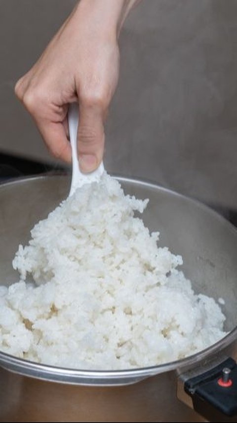 Catat! Begini Cara Dapat Rice Cooker Gratis dari Pemerintah