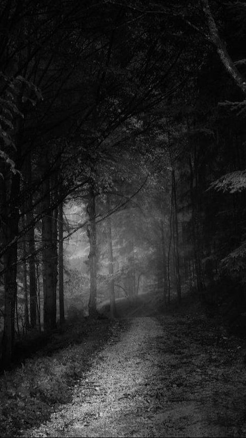 Top 5 Most Haunted Places In Sri Lanka For Ghost Hunters