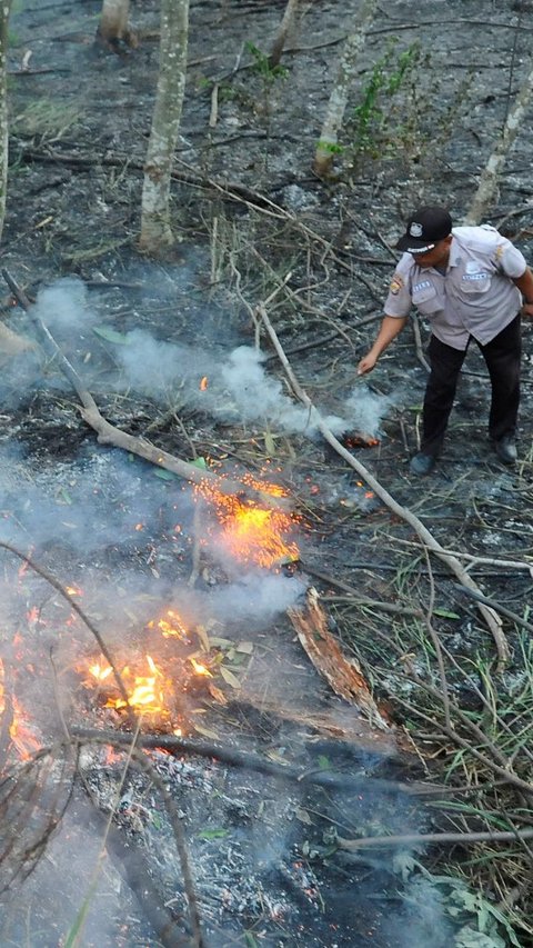 FOTO: Petaka Puntung Rokok Nyaris Membakar Habis Hutan Kota di Perumahan Batan Indah Tangerang Selatan