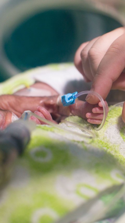 Sad, 7 Premature Babies Die After Gaza Hospital Runs Out of Fuel