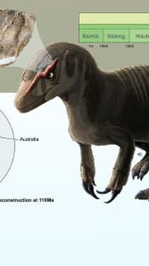 Fosil Tengkorak Dinosaurus Berusia 120 Juta Tahun Ditemukan di Australia, Kondisinya Masih Utuh dan Lengkap