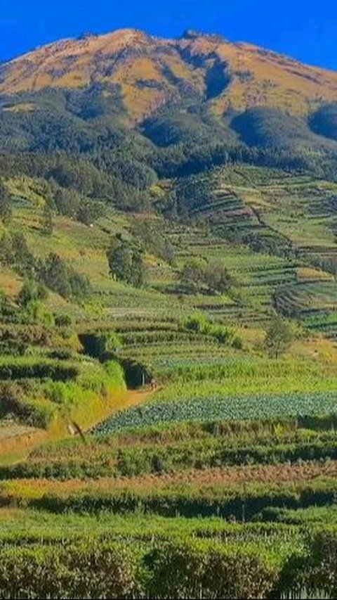 Berwisata ke Blumbang Roto, Hidden Gem di Lereng Gunung Sumbing yang Belum Banyak Diketahui