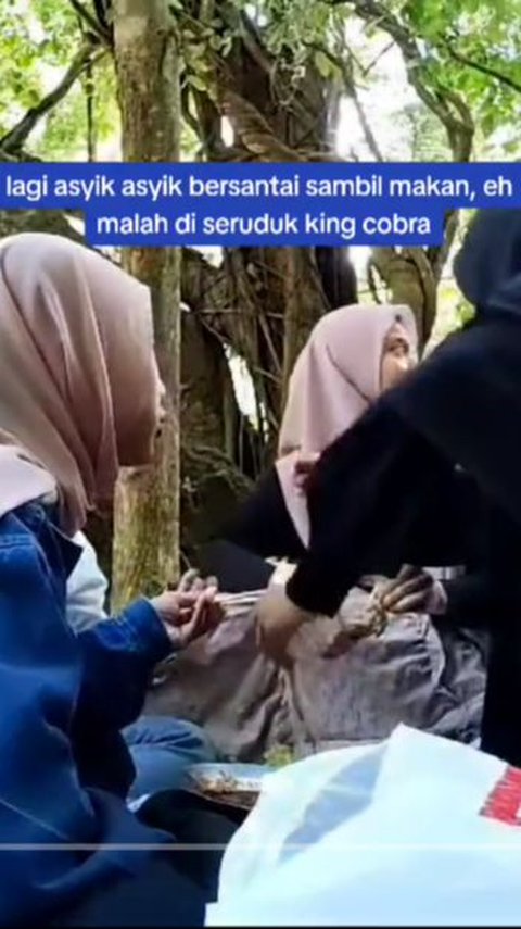 Makan di Bawah Pohon, Segerombolan Perempuan Ini Diseruduk Ular Kobra