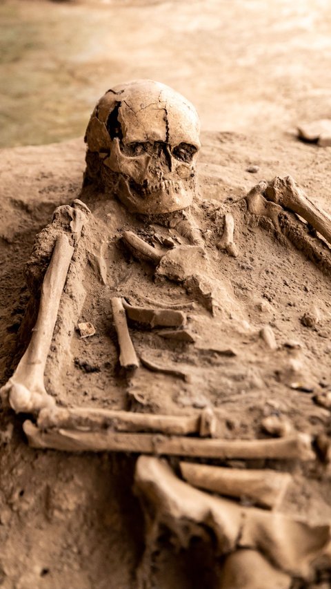 Penemuan Jasad Pendeta Berusia 3000 Tahun Viral, Dikubur Menghadap ke Bawah