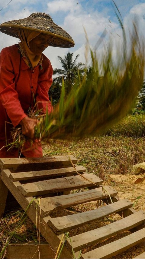 Gerakan Percepatan Tanam Padi dan Jagung, KTNA: Petani Siap Ambil Andil