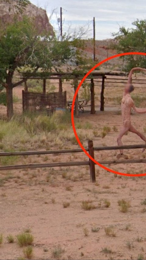 Shocking! Google Street View Captures Terrifying Creature with Stretchable Arms, Surprisingly Relieving