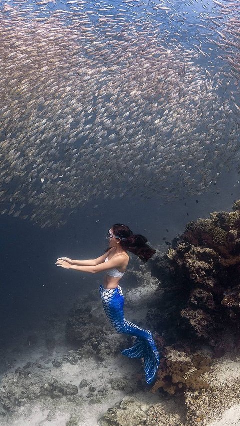 Wanita Indonesia Pecahkan Rekor Dunia Freediving Hingga 71 Meter, ini Sosoknya Dikenal jadi Putri Duyung