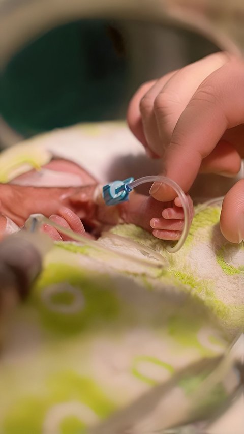 Potret Haru 28 Bayi Prematur Berhasil Dievakuasi dari Gaza ke Mesir, Kondisinya Memprihatinkan