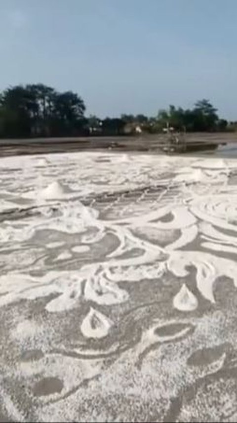 Unik, Seniman Rembang Ini Melukis di Tambak dengan Garam, Jadi yang Pertama di Indonesia