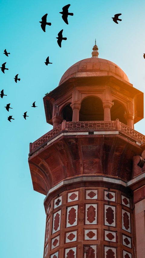 7 Places to Visit Near Delhi: Enjoy the Chronicles of Charm
