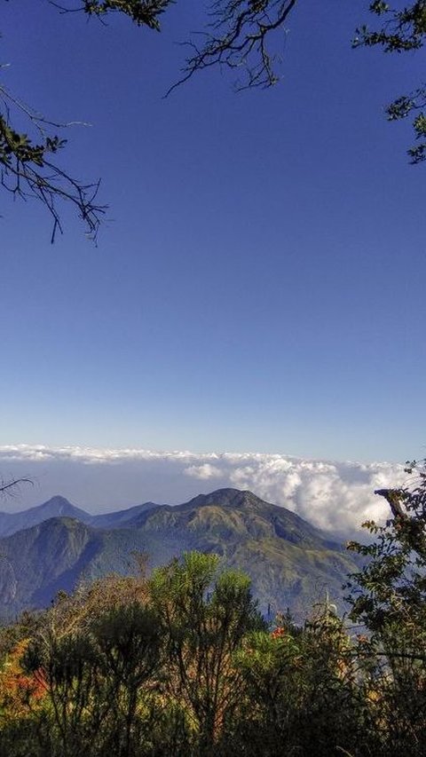 Mitos Gunung Lawu, Mulai Adanya Pasar Setan Hingga Pantangan Pakai Baju Hijau