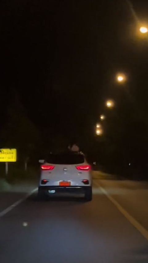 Viral Appearance of Long White Hair on Top of Car Sends Chills, Video Viewed 2.7 Million Times, Revealed When Seen Up Close