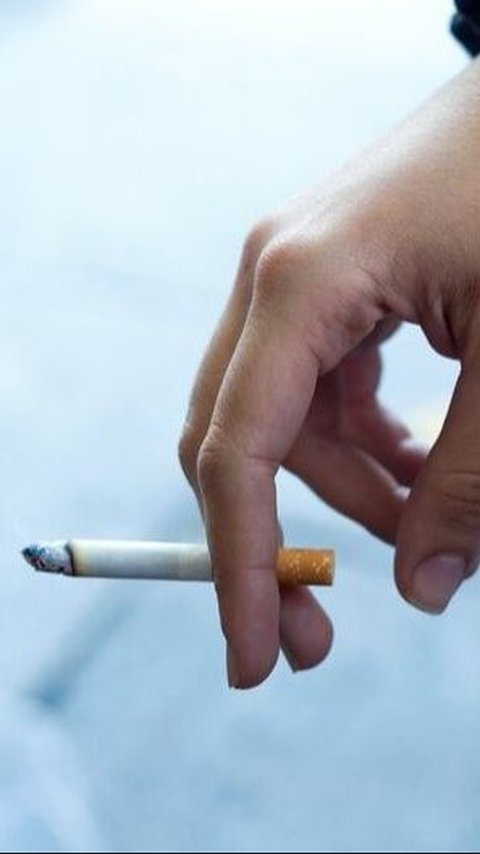 Rokok Putih Adalah Rokok Tanpa Campuran Cengkih, Berikut Jenis Rokok dan Penjelasannya