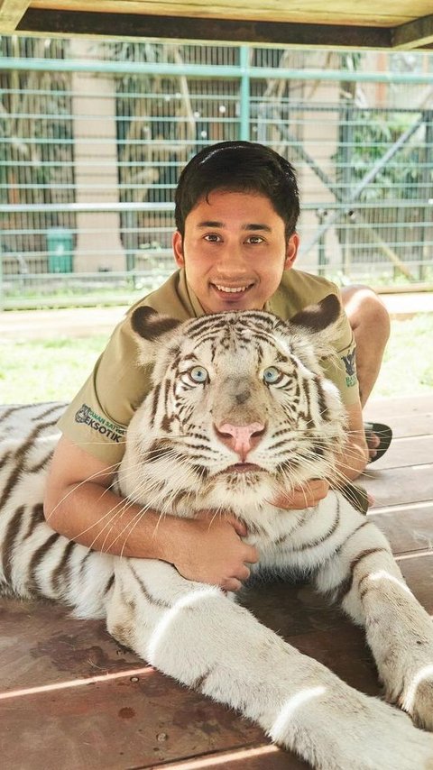 Because of a Tiger Escaping in Bandung, Alshad Ahmad Visited by Police in the Middle of the Night