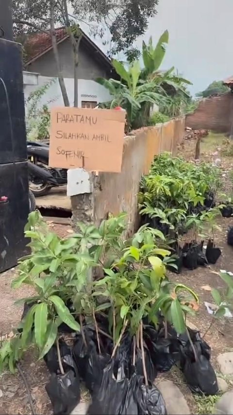 Viral Bibit Tanaman Jadi Souvenir Nikahan di Tegal, Anti Mainstream