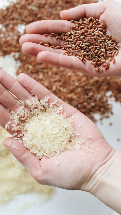 15 Meanings of Dreaming of Buying Rice, One of Which is Believed to be a Symbol of Prosperity