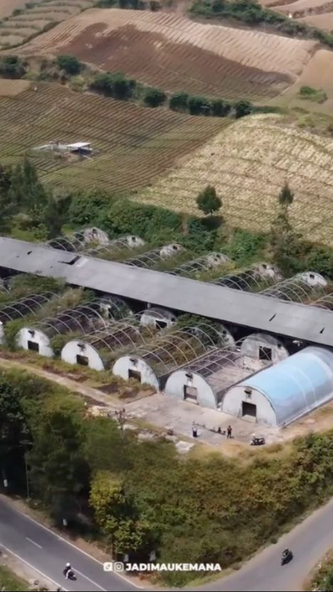 Terbengkalai, Ternyata Bangunan Ini Dulunya Pabrik Jamur Terbesar di Jatim, Begini Penampakannya Sekarang