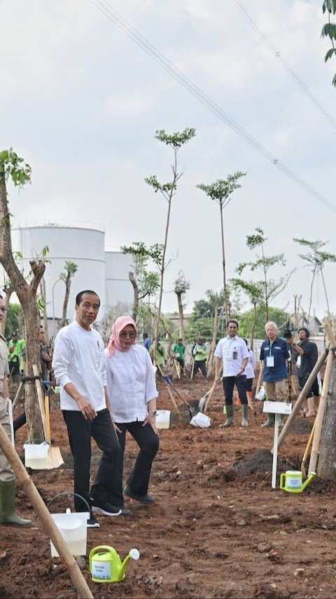 Begini Langkah Nyata Jokowi Atasi Perubahan Iklim