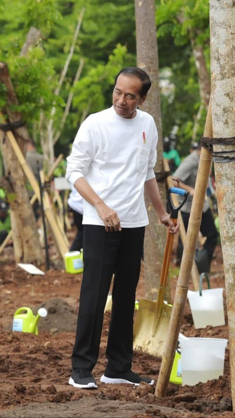 Mentan Dampingi Jokowi dalam Gerakan Tanam Pohon Bersama