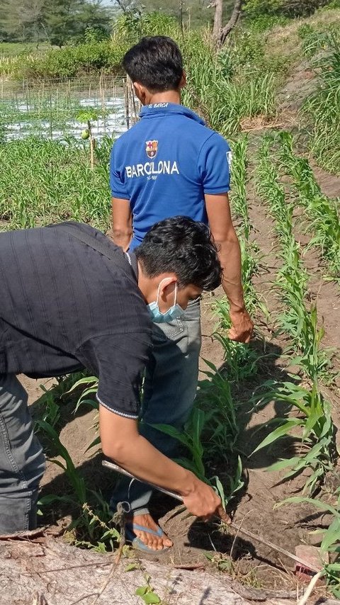 Hasil Seleksi Diumumkan, Ini Tugas dan Gaji Pendamping Lokal Desa