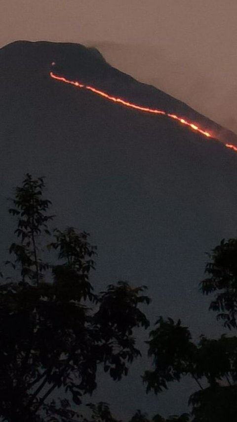 Kebakaran Terjadi di Gunung Penanggungan, Jalur Pendakian Ditutup