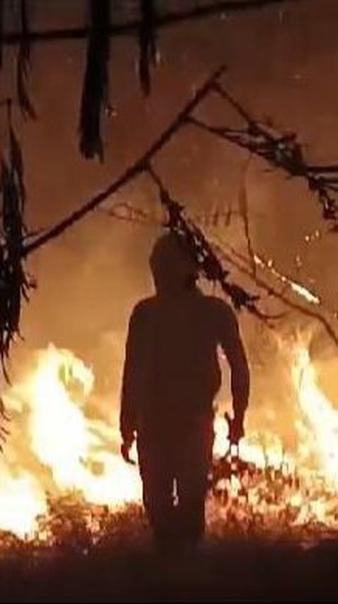Kebakaran Gunung Penanggungan Hanguskan 80 Hektare Padang Savana