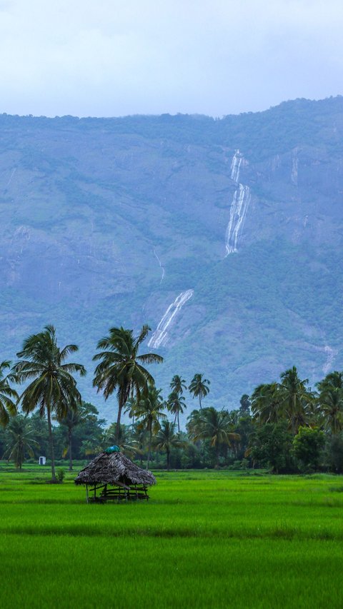 Tourist Places in Kerala 3 Day Expedition