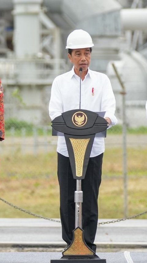Demi Suplai Pabrik Pupuk di Papua, Presiden Jokowi Dukung 2 Proyek Migas jadi PSN