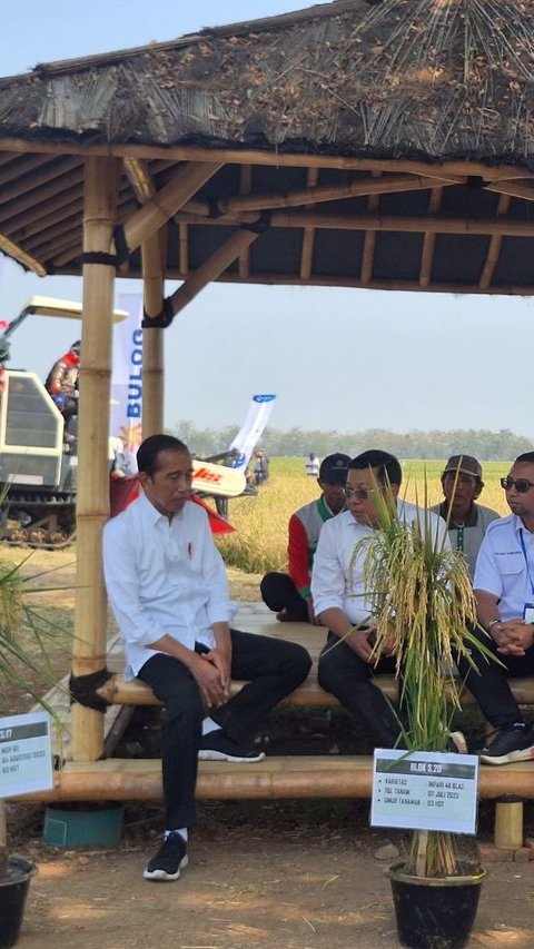 Janji Jokowi ke Petani: Subsidi Pupuk Akan Saya Tambah