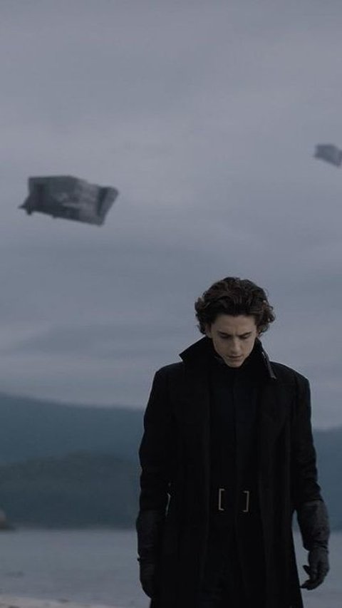 5 Best Movies of Timothée Chalamet You Should Watch!